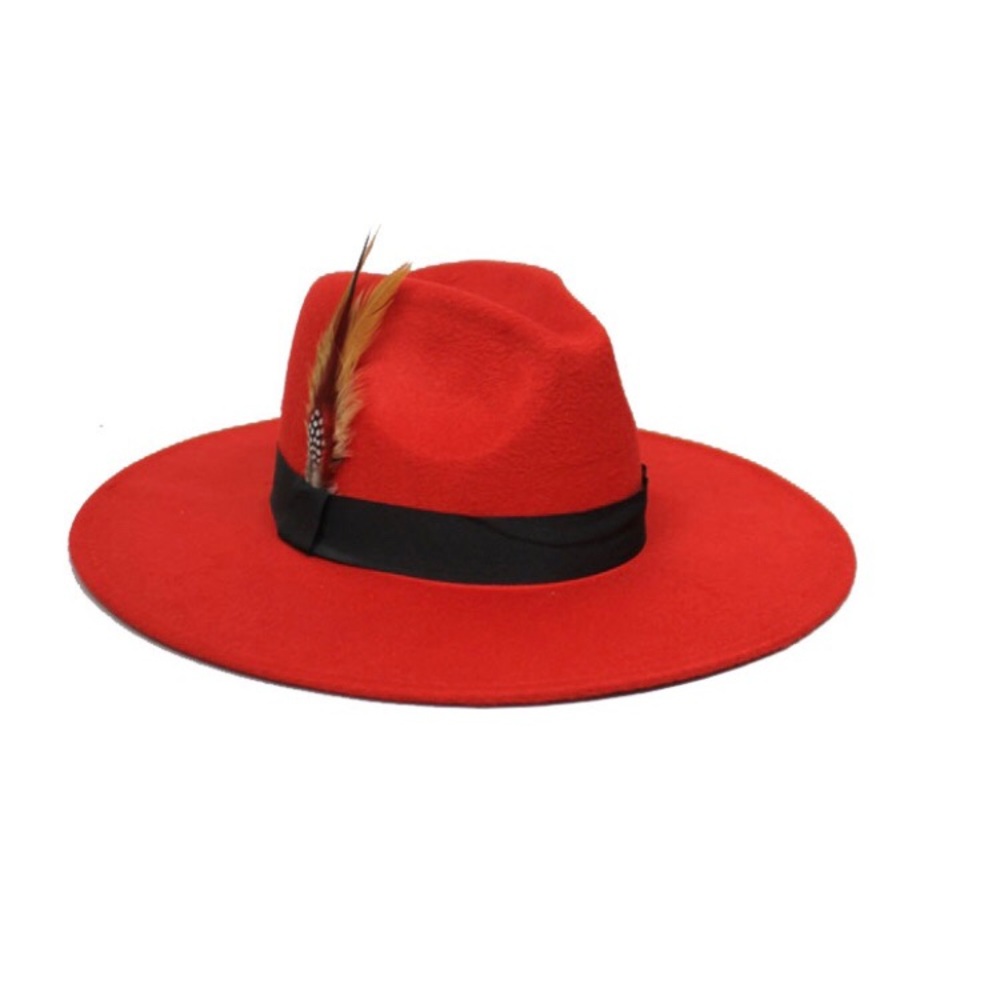 🍂🍂Big Brim Fedora hat🍂🍂 Hot Item